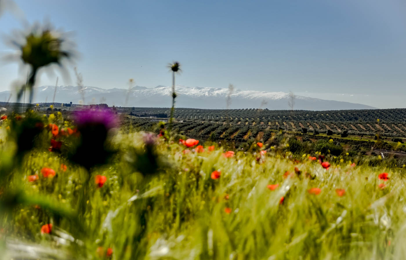 Vistas a Sierra Nevada, se ve nieve la mayor parte del año